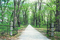 Looking down driveway through gates in spring, Wisconsin, USA, sequence 2 / 4
