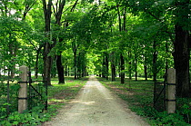 Looking down driveway through gates in summer, Wisconsin, USA, sequence 3 / 4
