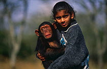 Child holding juvenile orphaned 2-year   Chimpanzee {Pan troglodytes} Sweetwater Sanctuary, Kenya