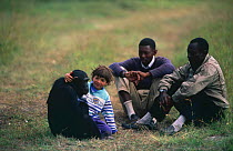 Child stroking juvenile chimpanzee {Pan troglodytes} with Sanctuary handlers, Sweetwater Sanctuary, Kenya