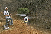 Geoff Bell with remote controlled filming helicopter for tv series Lifesense, Kenya, 1990