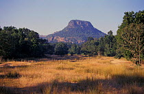 Bandhavgarh Plateau, Bandhavgarh NP, India- grassland area of park in foreground. 2004