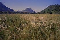 Bandhavgarh Plateau, Bandhavgarh NP, India with grassland area of park in foreground.