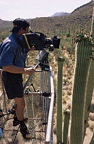 Camerman Richard Ganniclift filming saguaro cactus from a crane. Arizona USA 1993/94 for BBC series Private Life of Plants