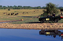 Game viewing in Kruger NP. Tourism in South Africa. Wildebeest, zebra and cheetah.
