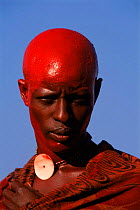 Maasai warrior with head painted in red ochre. Eunoto ceremony. Mara region, Kenya. Head is shaved before colouring. 1995