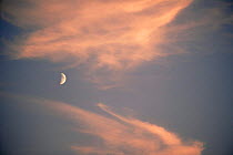 Moon and cloud at sunset Papa Westray, Orkney, Scotland.