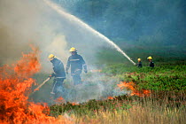 Firefighters using water hoses to put out heathland fire, Corfe Mullen, Dorset, UK