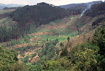 Visible deforestation in Bwindi NP reserve, Uganda, East Africa