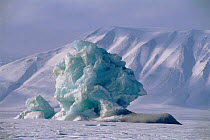 Iceberg formation in Svalbard, Leifdefi, Norway, Sandinavia