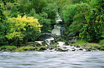 River flowing infront of Old bridge, Glen Lyon, Tayside, Scotland, UK