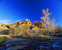 Oak creek running before Cathedral Rocks, Red Rock Crossing, Sedona, Arizona, USA