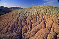 Patterns on rock mounds, Dillon Pass, Badlands NP, South Dakota, USA