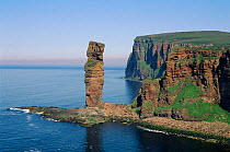 The Old Man of Hoy, The Orkney Isles, Scotland. Sea stack 150m