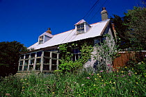 Typical house and garden at Port Stanley, East Falkland Island, Falklands