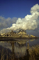 Pulp mill pollution, Tacoma, Washington state, USA.