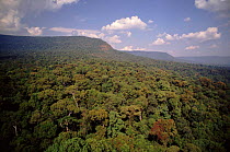 Dry evergreen forest, aerial view. Khao Yai NP, Thailand