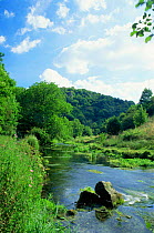 River Dove, Peak District NP, Dovedale, Derbyshire