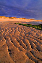 Feall Bay, Coll, Strathclyde. Scotland. Patterns on the sand. Beaches. Coasts.