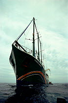 Rainbow Warrior ship, Greenpeace. Tasman Sea, New Zealand