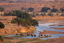 Elephants crossing Great Ruaha river, Ruaha National Park,Tanzania, Africa landscape