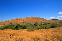 Deforested landscape near gold mine, Daraina, Madgascar.