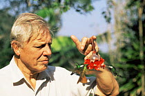 David Attenborough holding feeder with white throated hummingbirds flying to it, Brazil. On location for Life of Birds