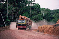 Lorry carrying timber out of rainforest, active deforestation in Gabon, also the road makes forest accesible for hunting