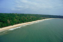 Aerial view of coastline where tropical rainforest meets Atlantic sea, Gabon, Central Africa