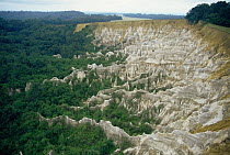 Aerial view of sunken crater, limestone rock formation, Gabon, Central Africa
