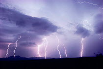 Lightning, Tucson, Arizona, USA.