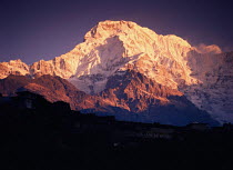 Dawn hits Annapurna South face, as seen from Gandrung, Annapurna Range, Himalayas, Nepal