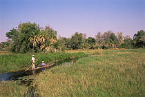 Guide punting a Tourist in Makoro (dug-out canoe) Okavango delta, Botswana.