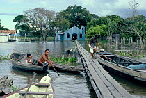 Community near Santarem in Varzea, Amazon River flood plain, with walkway over water to houses and church.