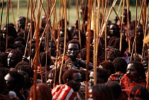 Masai warriors during Eunoto ceremony carry cermonial sticks. Kenya, Mara region.