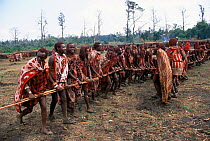 Maasai warriors dance with poles during traditonal Eunoto ceremony, Mara region, Kenya