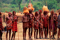 Masai warriors in traditional dress for Eunoto ceremony, Kenya Kenya, Mara region. Right of passage, initiation
