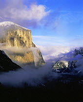 Winter fog surrounding El Capitan, Yosemite NP, California, USA