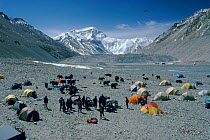 Base camp and yaks, Rongbuk Glacier, Mt Everest in distance, Tibet