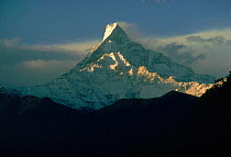 Machapuchari (Fish Tail) Mountain, Himalayas, Nepal