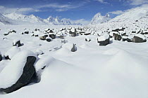 Snowfall on the Biafo glacier in the Karakorum Mountains, Pakistan