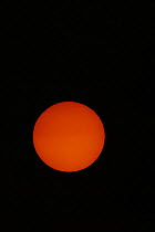 Close-up of the Sun