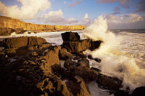 Waves breaking crashing against rocks, Pembrokeshire coast, Wales, UK.
