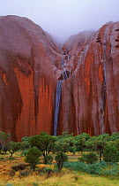 Rain at Ayers Rock (Uluru). Uluru NP, N Territory, Australia