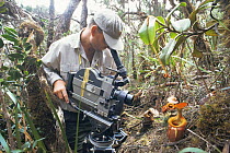 Cameraman Martyn Colbeck filming pitcher plants on Mt Kinabalu, Sabah, Malaysia, for BBC television Natural World programme on Borneo, 1997
