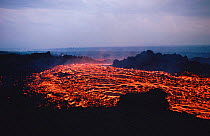 Red hot molten lava flow breaking through from base of Kimanura volcano, Virunga NP, Democratic Republic of Congo (formerly Zaire)