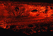 Red hot molten lava flow breaking through the base of Kimanura volcano, Virunga NP, Democratic Republic of Congo, formerly Zaire