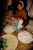 Removing silkworms (Bombyx mori) from cocoon. Assam, India