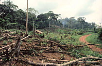 Deforestation along road for slash and burn agriculture, Epulu Ituri Reserve, Democratic Republic of Congo