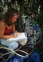 Rainforest researcher studying gas emissions from soils, Brazil Para State, Amazonia